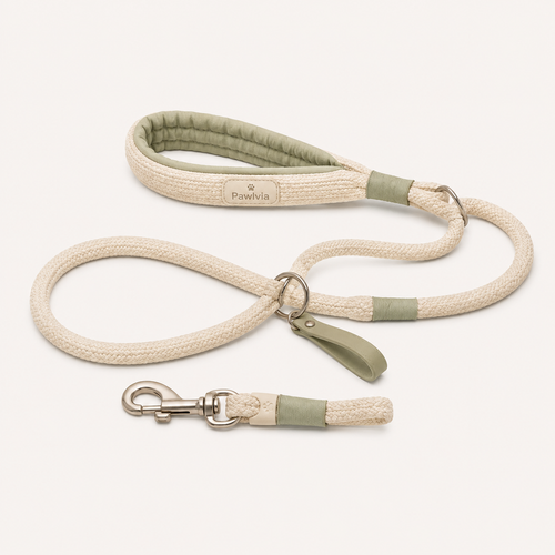 Pawlvia CozyTrail Hands-Free Pet Leash product image